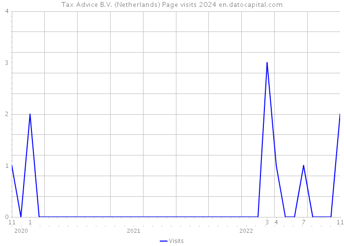 Tax Advice B.V. (Netherlands) Page visits 2024 