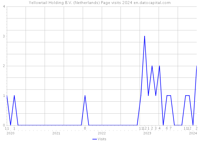 Yellowtail Holding B.V. (Netherlands) Page visits 2024 