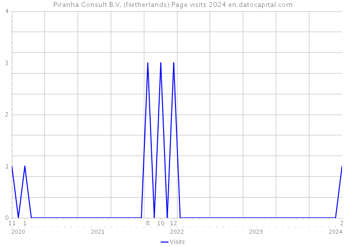 Piranha Consult B.V. (Netherlands) Page visits 2024 