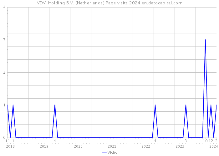 VDV-Holding B.V. (Netherlands) Page visits 2024 