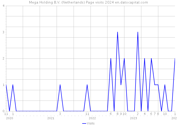 Mega Holding B.V. (Netherlands) Page visits 2024 