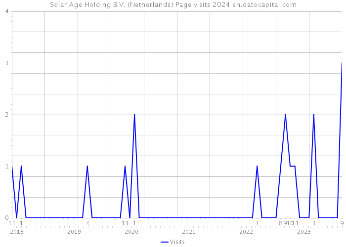 Solar Age Holding B.V. (Netherlands) Page visits 2024 