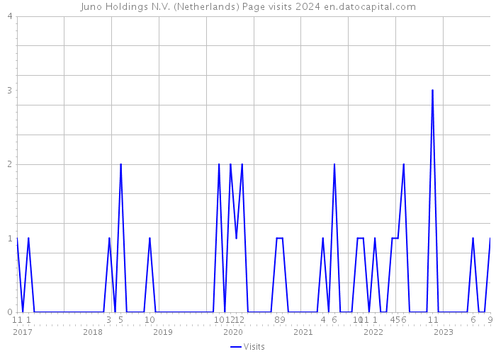 Juno Holdings N.V. (Netherlands) Page visits 2024 