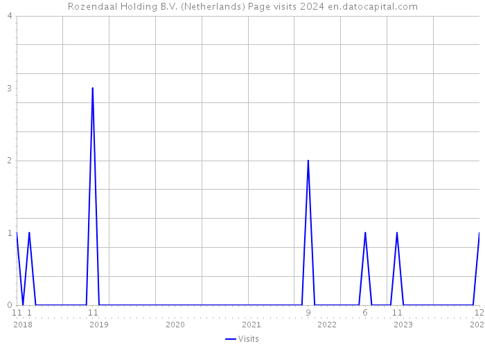 Rozendaal Holding B.V. (Netherlands) Page visits 2024 