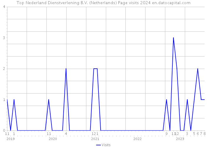 Top Nederland Dienstverlening B.V. (Netherlands) Page visits 2024 