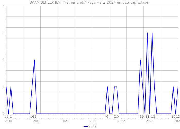 BRAM BEHEER B.V. (Netherlands) Page visits 2024 