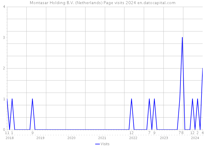 Montasar Holding B.V. (Netherlands) Page visits 2024 