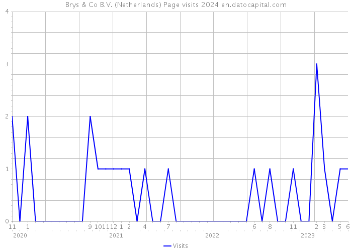 Brys & Co B.V. (Netherlands) Page visits 2024 