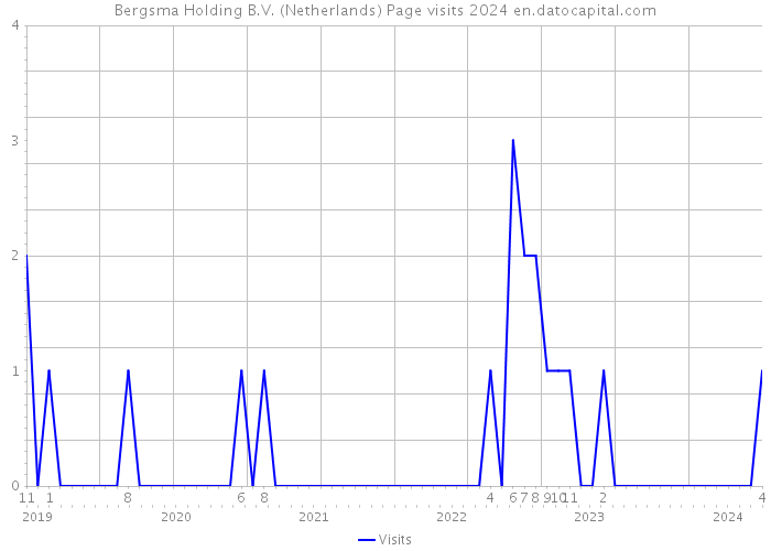 Bergsma Holding B.V. (Netherlands) Page visits 2024 