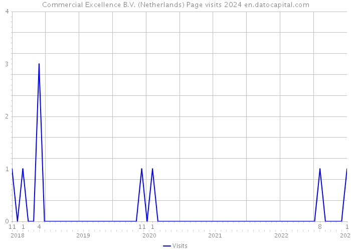 Commercial Excellence B.V. (Netherlands) Page visits 2024 