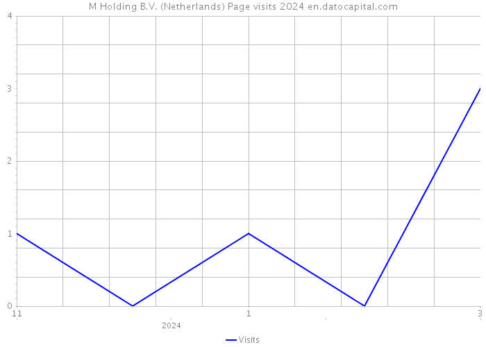 M Holding B.V. (Netherlands) Page visits 2024 