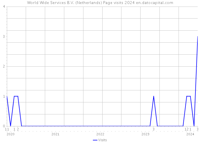 World Wide Services B.V. (Netherlands) Page visits 2024 