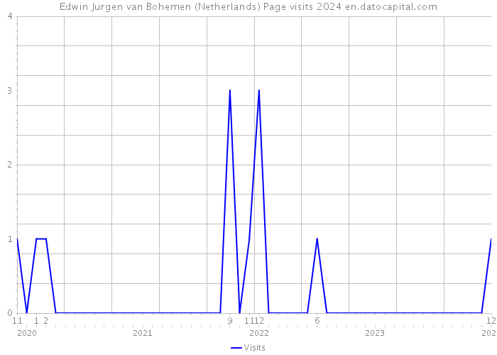Edwin Jurgen van Bohemen (Netherlands) Page visits 2024 