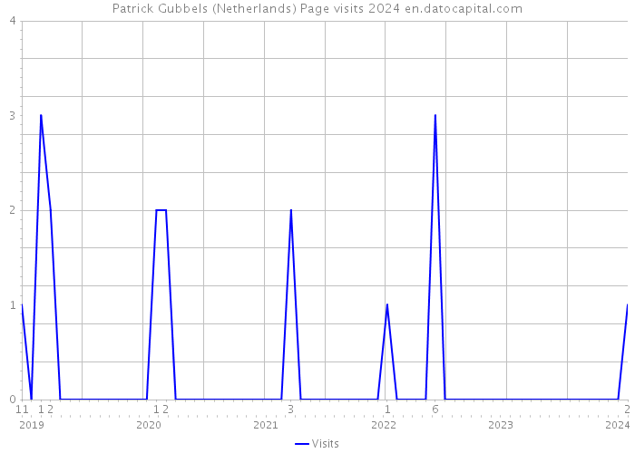 Patrick Gubbels (Netherlands) Page visits 2024 