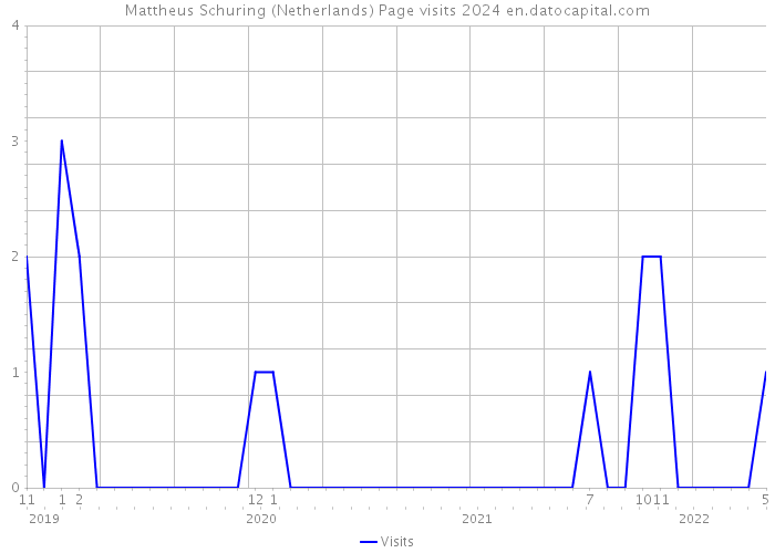 Mattheus Schuring (Netherlands) Page visits 2024 