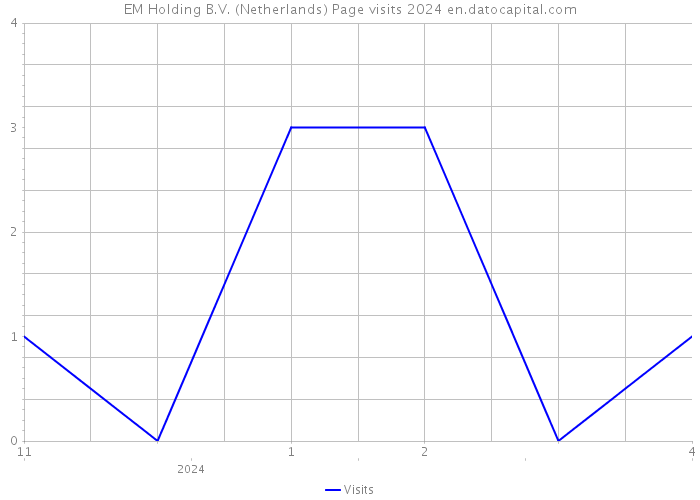 EM Holding B.V. (Netherlands) Page visits 2024 
