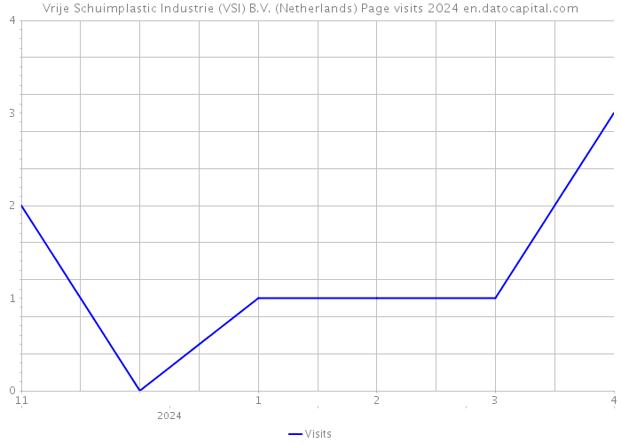 Vrije Schuimplastic Industrie (VSI) B.V. (Netherlands) Page visits 2024 