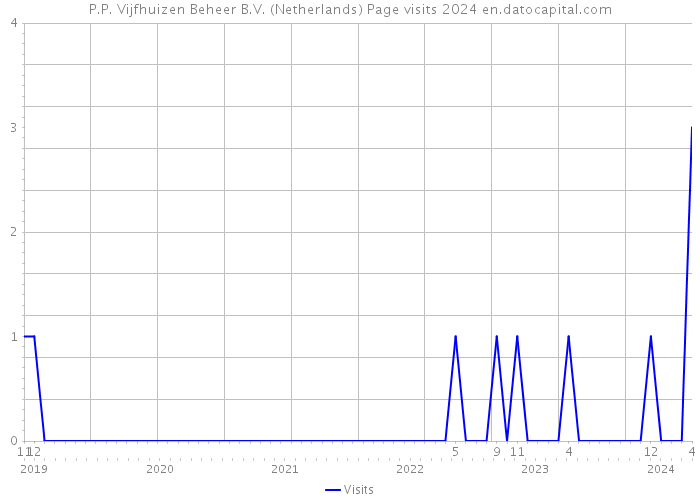 P.P. Vijfhuizen Beheer B.V. (Netherlands) Page visits 2024 