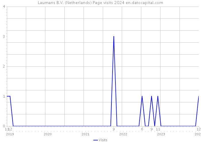Laumans B.V. (Netherlands) Page visits 2024 
