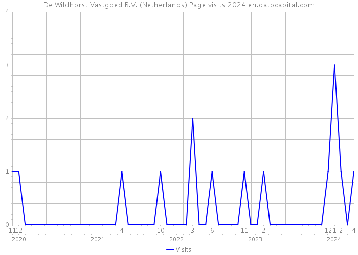 De Wildhorst Vastgoed B.V. (Netherlands) Page visits 2024 