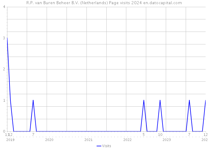 R.P. van Buren Beheer B.V. (Netherlands) Page visits 2024 
