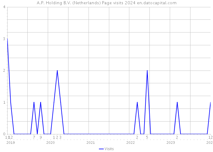 A.P. Holding B.V. (Netherlands) Page visits 2024 