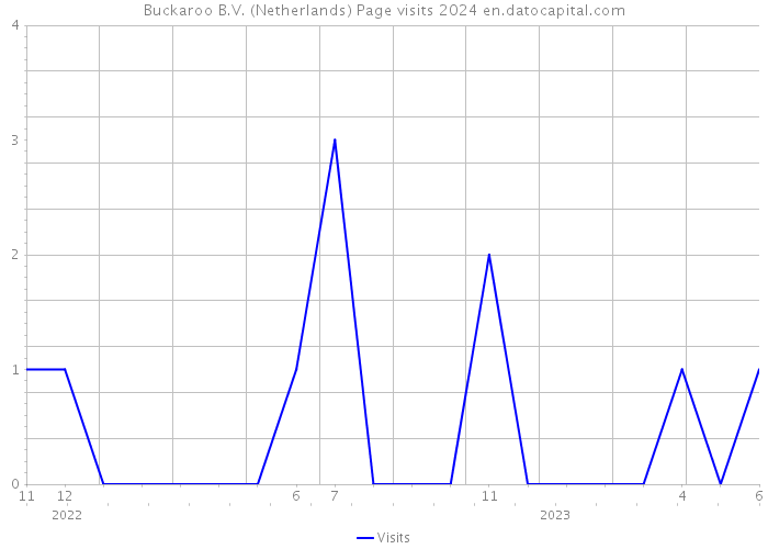 Buckaroo B.V. (Netherlands) Page visits 2024 