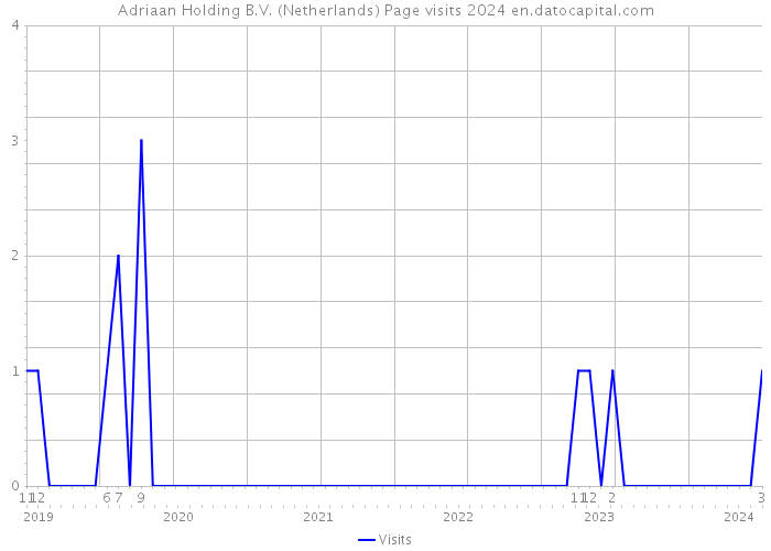 Adriaan Holding B.V. (Netherlands) Page visits 2024 