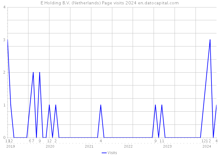E Holding B.V. (Netherlands) Page visits 2024 