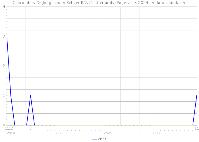 Gebroeders De Jong Leiden Beheer B.V. (Netherlands) Page visits 2024 