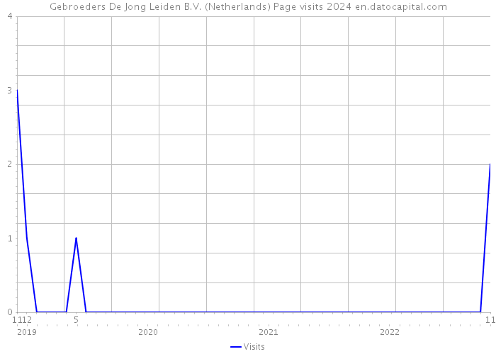 Gebroeders De Jong Leiden B.V. (Netherlands) Page visits 2024 