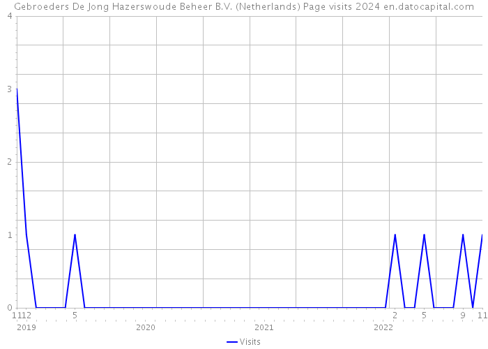 Gebroeders De Jong Hazerswoude Beheer B.V. (Netherlands) Page visits 2024 