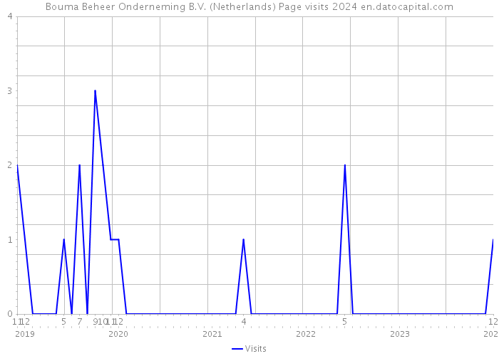 Bouma Beheer Onderneming B.V. (Netherlands) Page visits 2024 