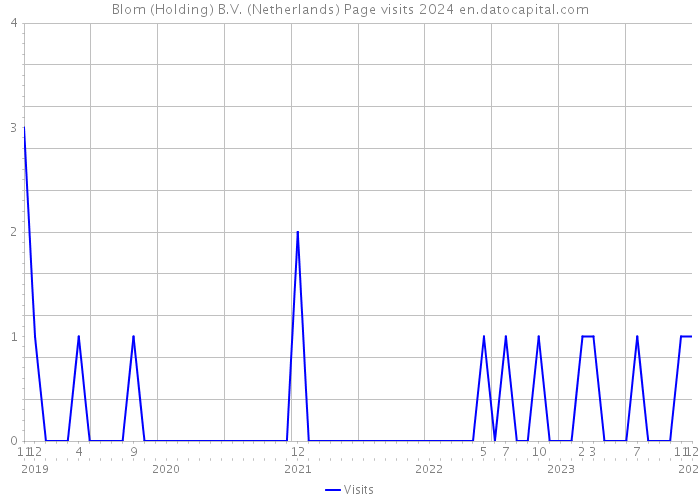 Blom (Holding) B.V. (Netherlands) Page visits 2024 