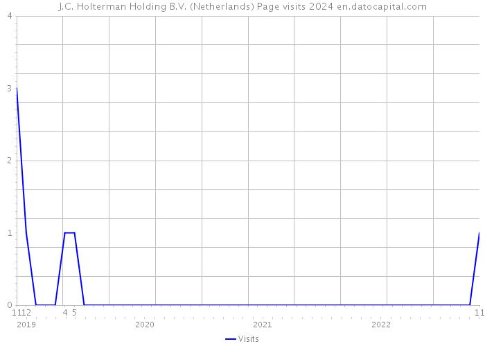 J.C. Holterman Holding B.V. (Netherlands) Page visits 2024 