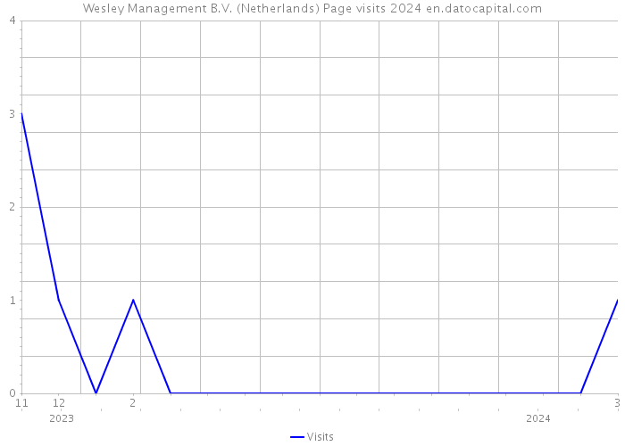 Wesley Management B.V. (Netherlands) Page visits 2024 