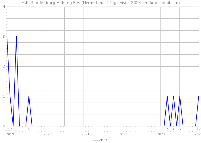 M.P. Roodenburg Holding B.V. (Netherlands) Page visits 2024 