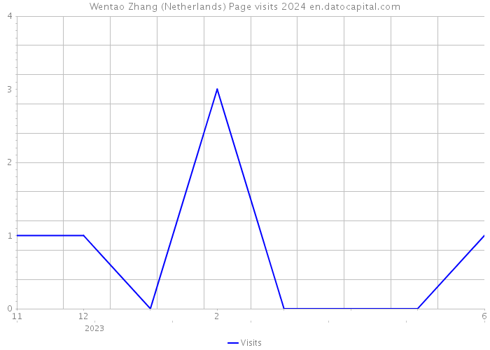 Wentao Zhang (Netherlands) Page visits 2024 