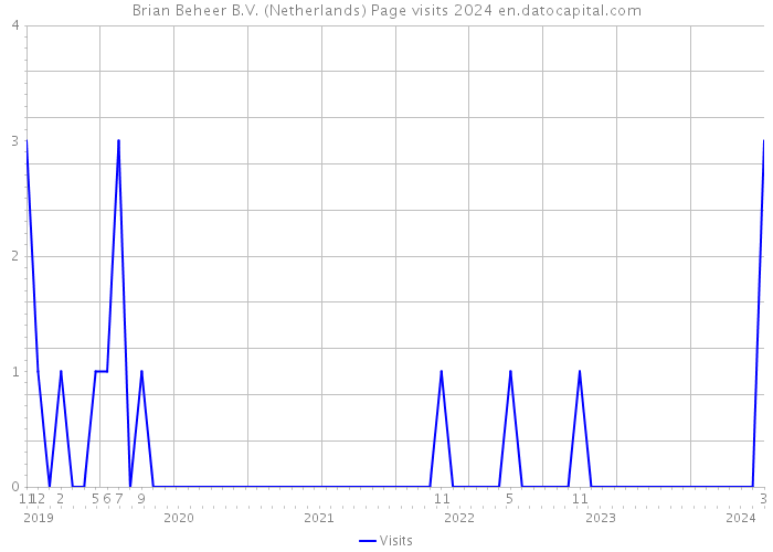 Brian Beheer B.V. (Netherlands) Page visits 2024 