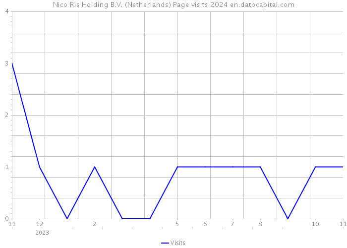 Nico Ris Holding B.V. (Netherlands) Page visits 2024 
