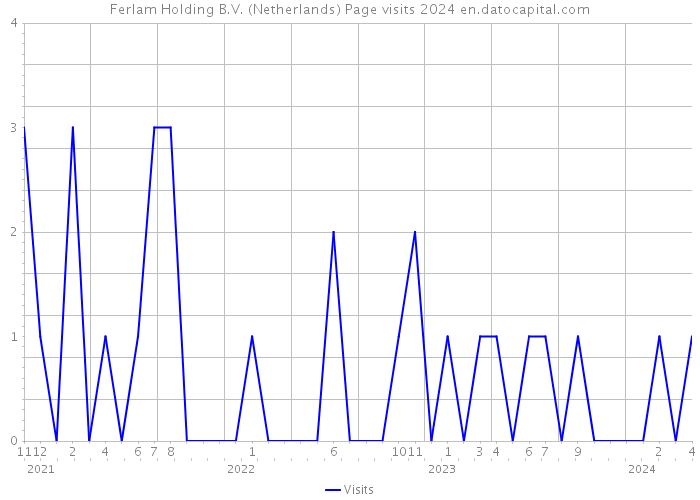 Ferlam Holding B.V. (Netherlands) Page visits 2024 