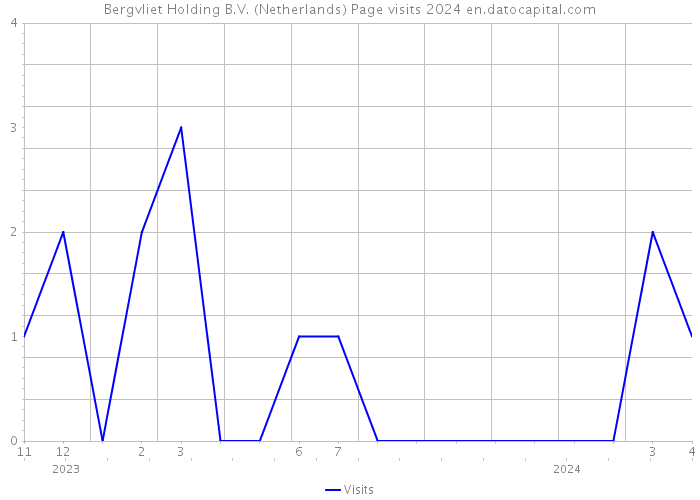 Bergvliet Holding B.V. (Netherlands) Page visits 2024 