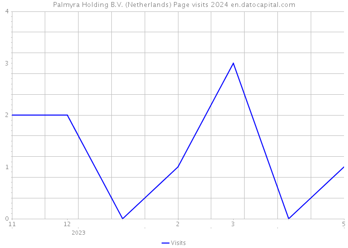 Palmyra Holding B.V. (Netherlands) Page visits 2024 