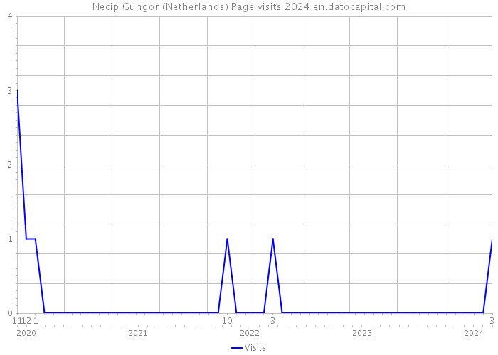 Necip Güngör (Netherlands) Page visits 2024 