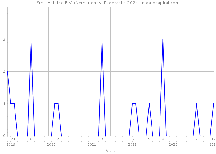 Smit Holding B.V. (Netherlands) Page visits 2024 