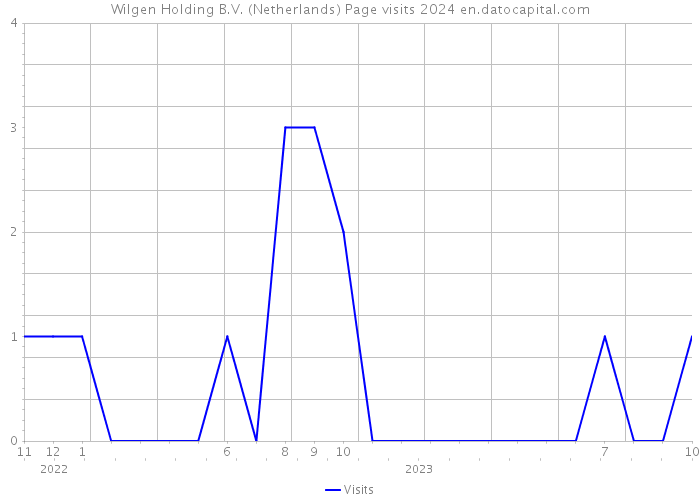 Wilgen Holding B.V. (Netherlands) Page visits 2024 