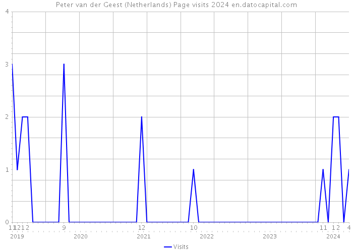Peter van der Geest (Netherlands) Page visits 2024 
