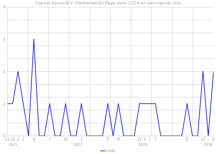 Capital Assets B.V. (Netherlands) Page visits 2024 