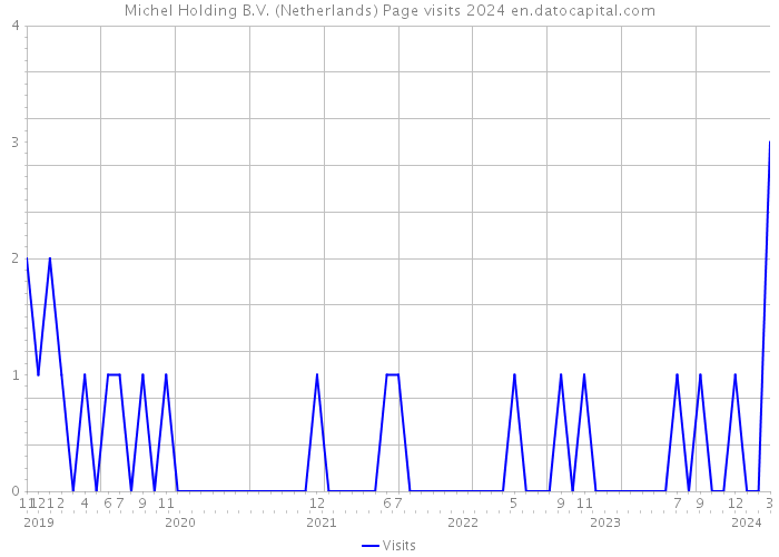 Michel Holding B.V. (Netherlands) Page visits 2024 