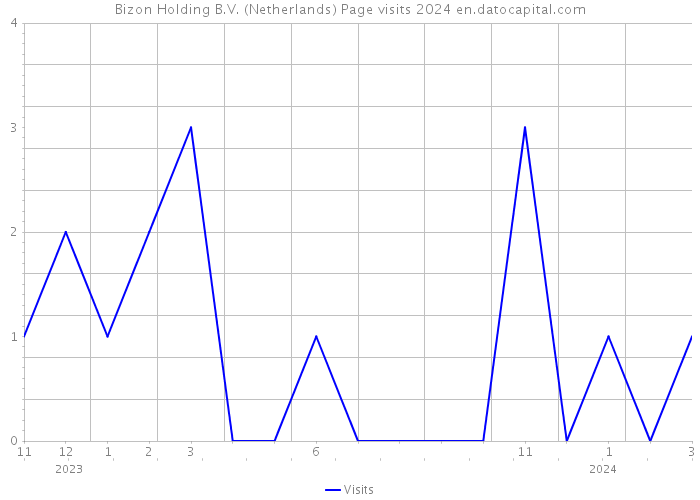Bizon Holding B.V. (Netherlands) Page visits 2024 